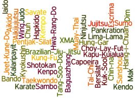 Martial Arts Styles