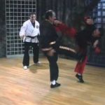 Shaolin Kempo Karate Grandmaster Fred Villari in Action