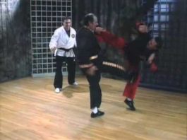 Shaolin Kempo Karate Grandmaster Fred Villari in Action