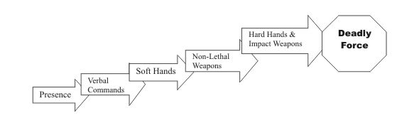 Example Use of Force Continuum