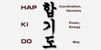 Hapkido