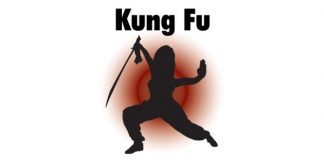 Kung Fu Styles