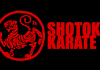 Shotokan Karate