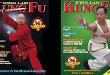 Wing Lum Kung Fu Magazine