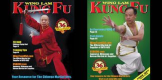 Wing Lum Kung Fu Magazine