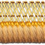 40 Brooms