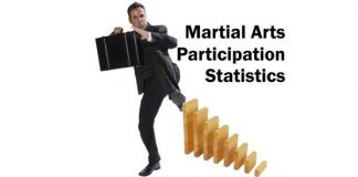 Martial Arts Participation Statistics