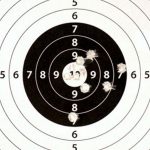 Firearms Training for Martial Artists