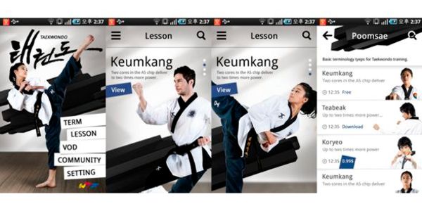 Taekwondo.Lesson App