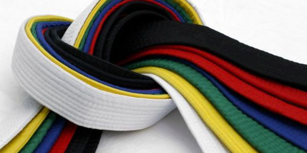 White Belt Karate for The Black Belt Fighter