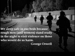 On Sheep, Wolves and Sheepdogs