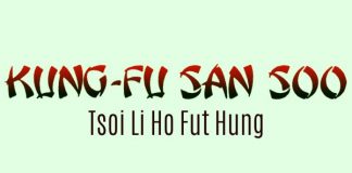 Kung Fu San Soo