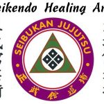 Seikendo Healing Arts