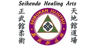 Seikendo Healing Arts