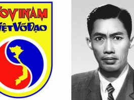 Vovinam-Viet Vo Dao