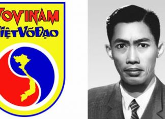 Vovinam-Viet Vo Dao