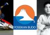 Yoseikan Budo
