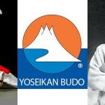 Yoseikan Budo