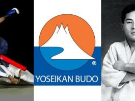 Yoseikan Budo