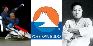 Yoseikan Budo