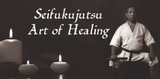 Seifukujutsu Art of Healing