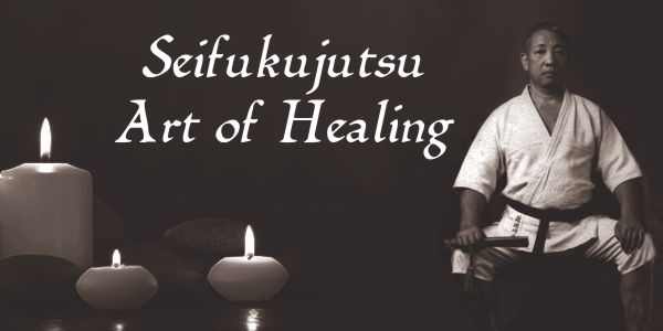 Seifukujutsu Art of Healing