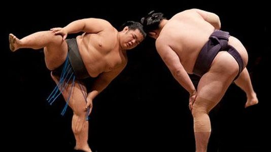 Sumo