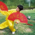 Taiji Fans