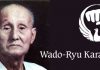 Wado-Ryu Karate