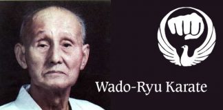 Wado-Ryu Karate