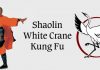 Shaolin White Crane Kung Fu