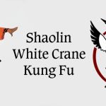 Shaolin White Crane Kung Fu