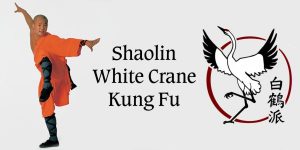 Shaolin White Crane Kung Fu Usadojo Shaolin White Crane Kung Fu Usadojo