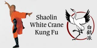 Shaolin White Crane Kung Fu