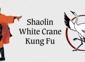 Shaolin White Crane Kung Fu