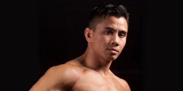 Cung Le