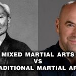 Mixed Martial Arts Vs Traditional Martial Arts