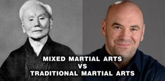 Mixed Martial Arts Vs Traditional Martial Arts