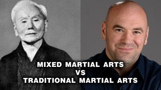 Mixed Martial Arts Vs Traditional Martial Arts