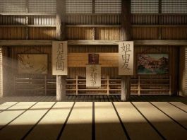 Dojo