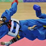 Vovinam