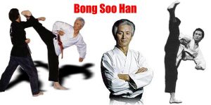 bong soo hapkido usadojo christoph roos