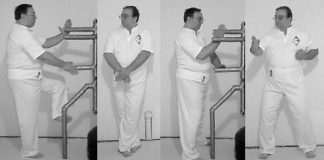 Ron Shively Naihanchi's Drills