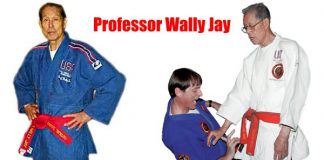 Professor Wally Jay