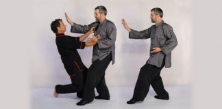 Tai Chi Is Just Ordinary Boxing