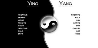 Ying Yang