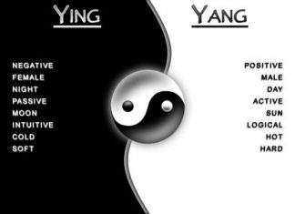 Ying Yang