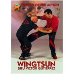 Wing Tsun: The Tao Of The Action