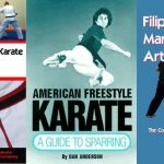 American Freestyle Karate: A Guide to Sparring