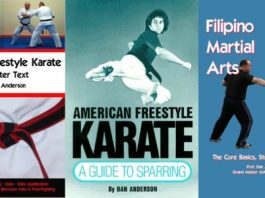 American Freestyle Karate: A Guide to Sparring